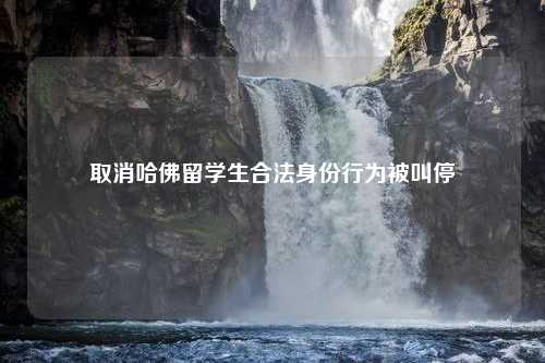取消哈佛留学生合法身份行为被叫停 取消哈佛留学生合法身份行为被叫停