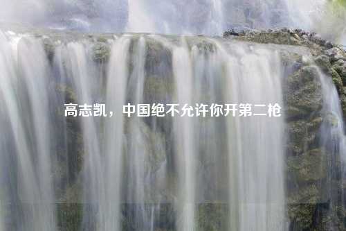 高志凯，中国绝不允许你开第二枪