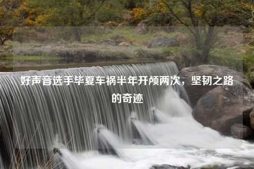 好声音选手毕夏车祸半年开颅两次，坚韧之路的奇迹