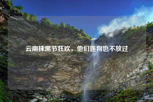 云南抹黑节狂欢，他们连狗也不放过
