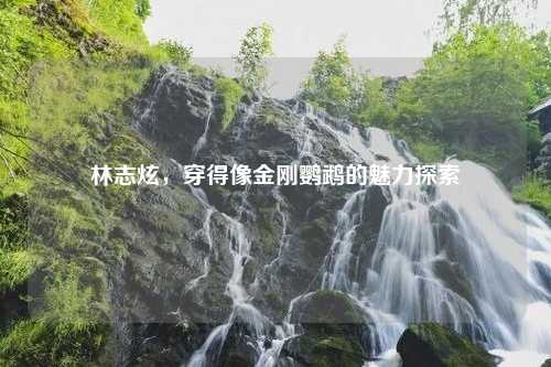 林志炫，穿得像金刚鹦鹉的魅力探索