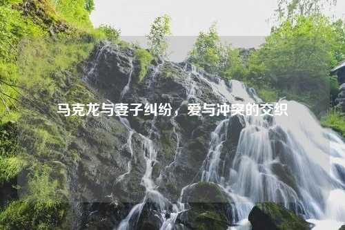 马克龙与妻子纠纷，爱与冲突的交织